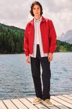 Bomber><noscript><img width=