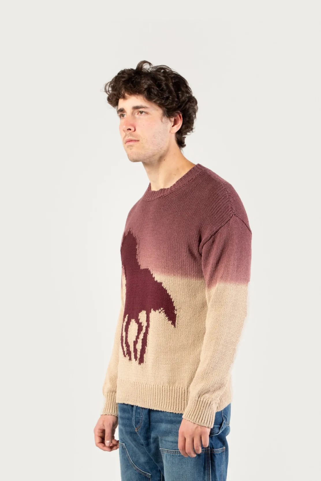 One Of These Days / Woolrich|Maglieria>Woolrich Maglia Girocollo In Misto Cotone Con Effetto Ombré - One Of These Days / Sand