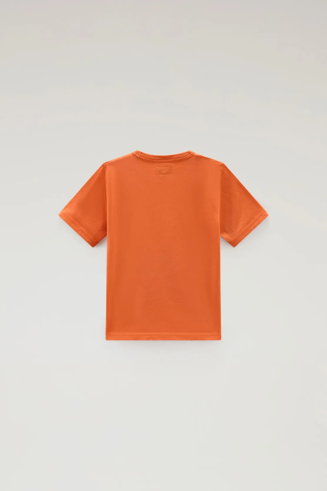 Abbigliamento>Woolrich T-shirt Da Bambino In Puro Cotone Con Ricamo Koi