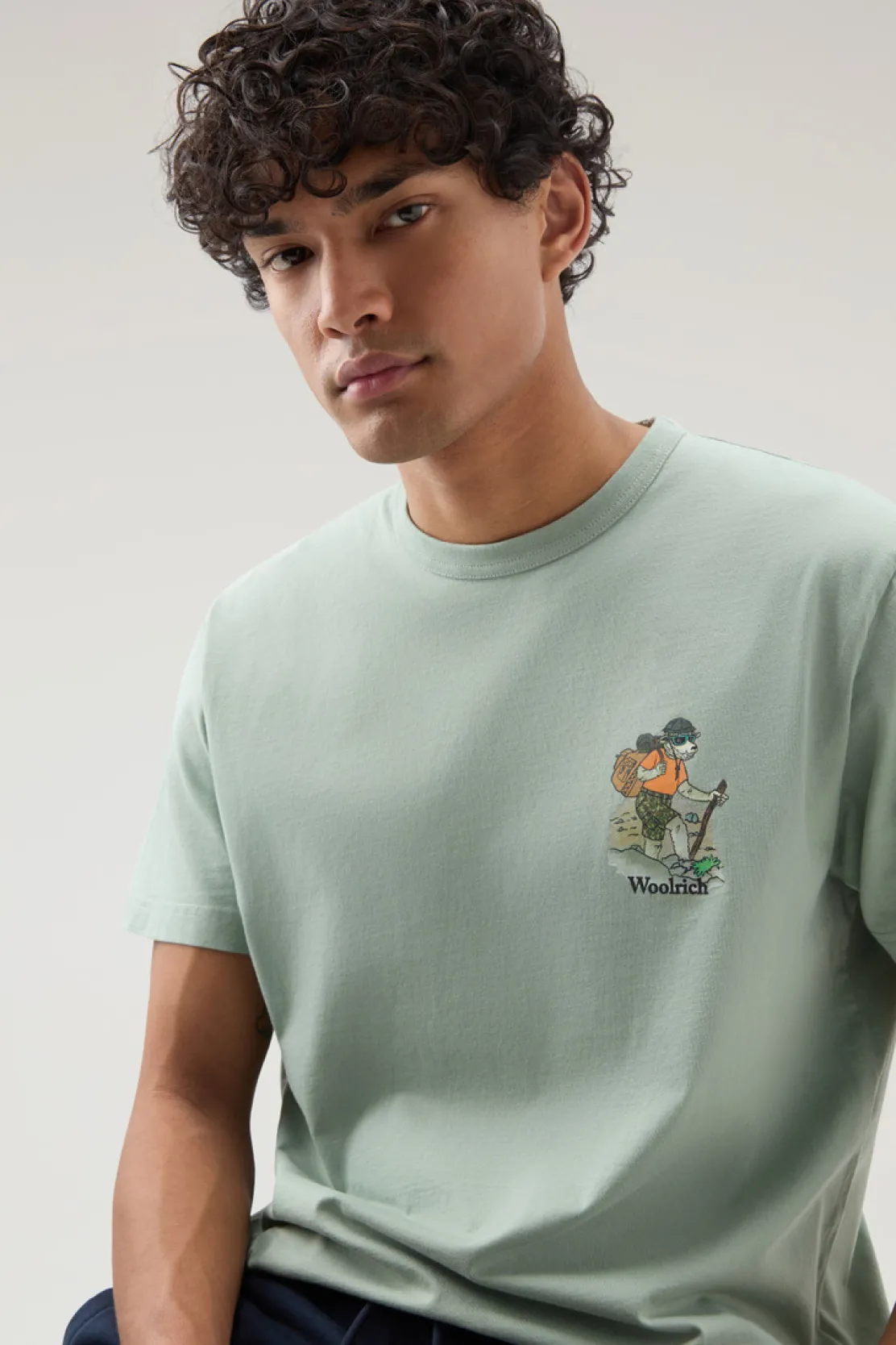 T-shirt>Woolrich T-shirt In Puro Cotone Con Stampa Grafica Sage